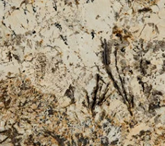 Caravelas Gold granite slab