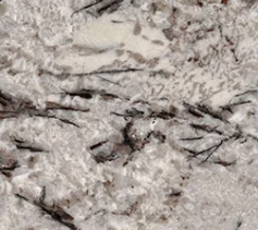 Delicatus White granite slab
