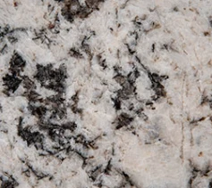 Oyster White granite slab